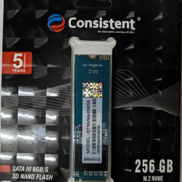 Consistent 256GB NVMe SSD 2