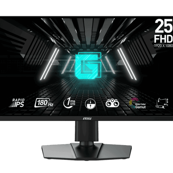 MSI G255PF E2 Computer Monitor