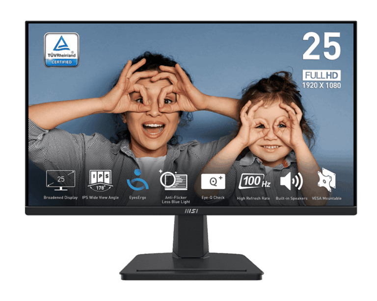 MSI Pro MP251 Computer Monitor
