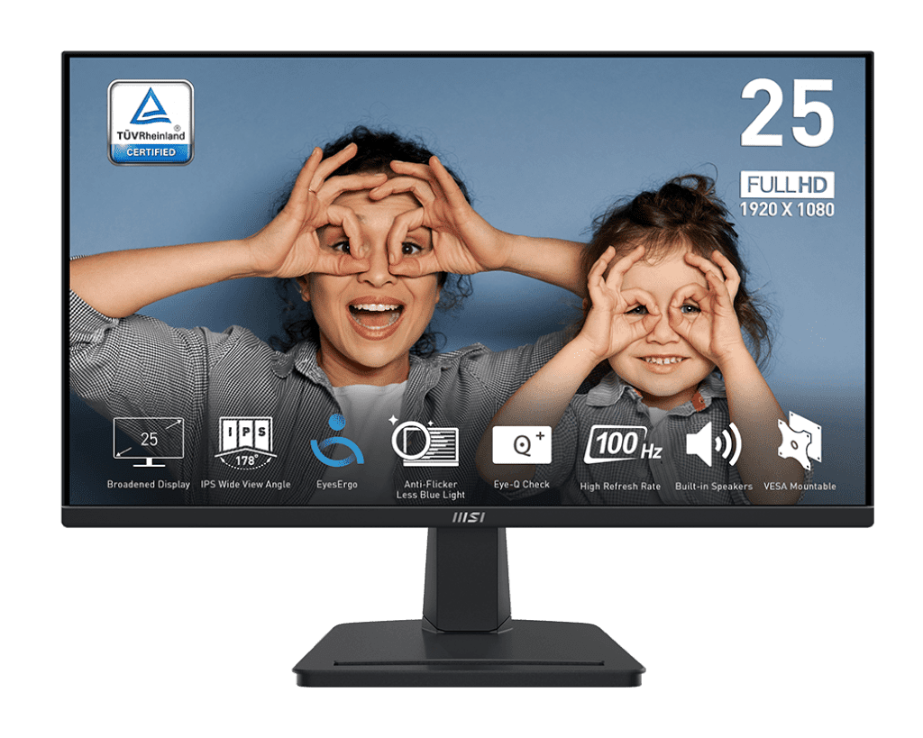 MSI Pro MP251 Computer Monitor