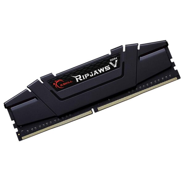 51eb3VQyt4L. SL1000 1