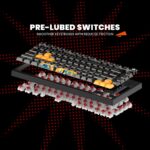 Cosmic Byte Phantom GK-44 TKL Tri-Mode Gasket Hot Swappable Mechanical Switch Keyboard - Image 3