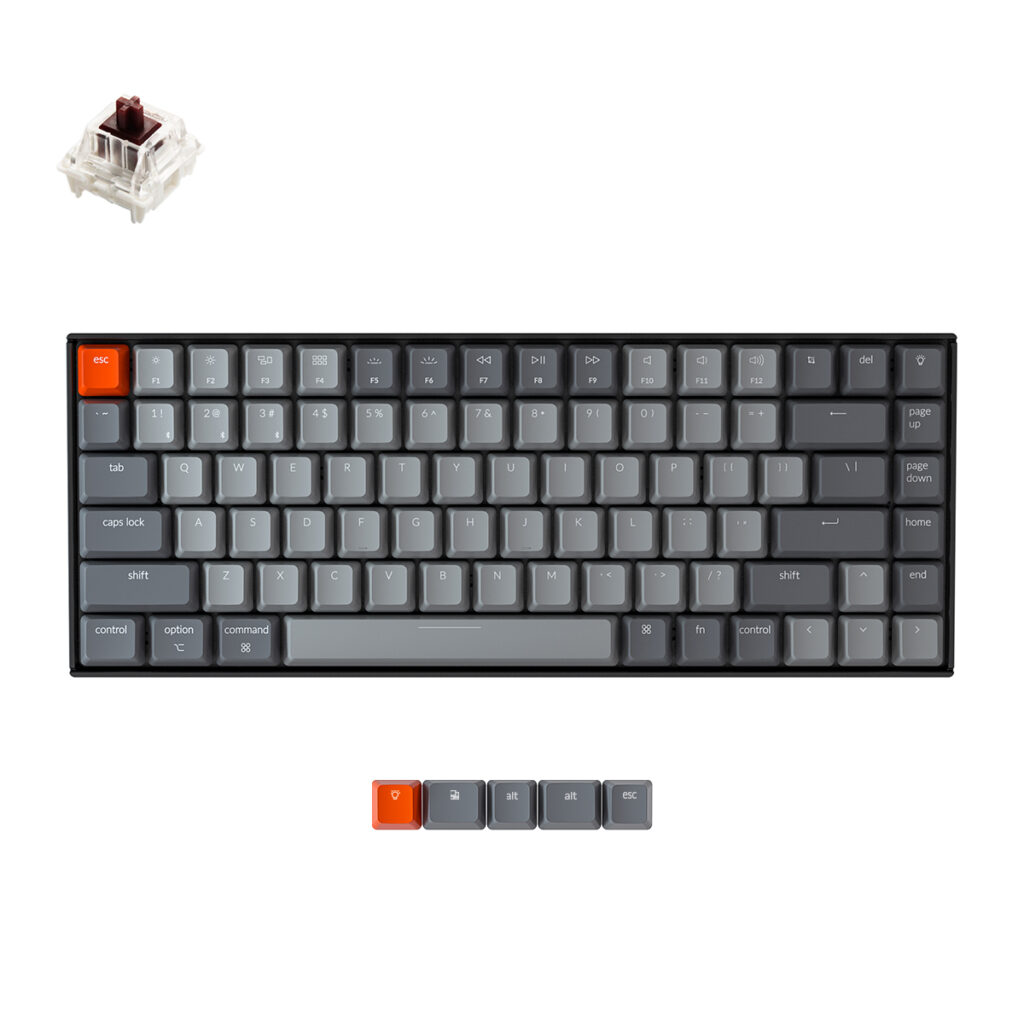 Keychron K2 wireless mechanical keyboard for Mac Windows iOS Gateron switch brown with type C RGB white backlight