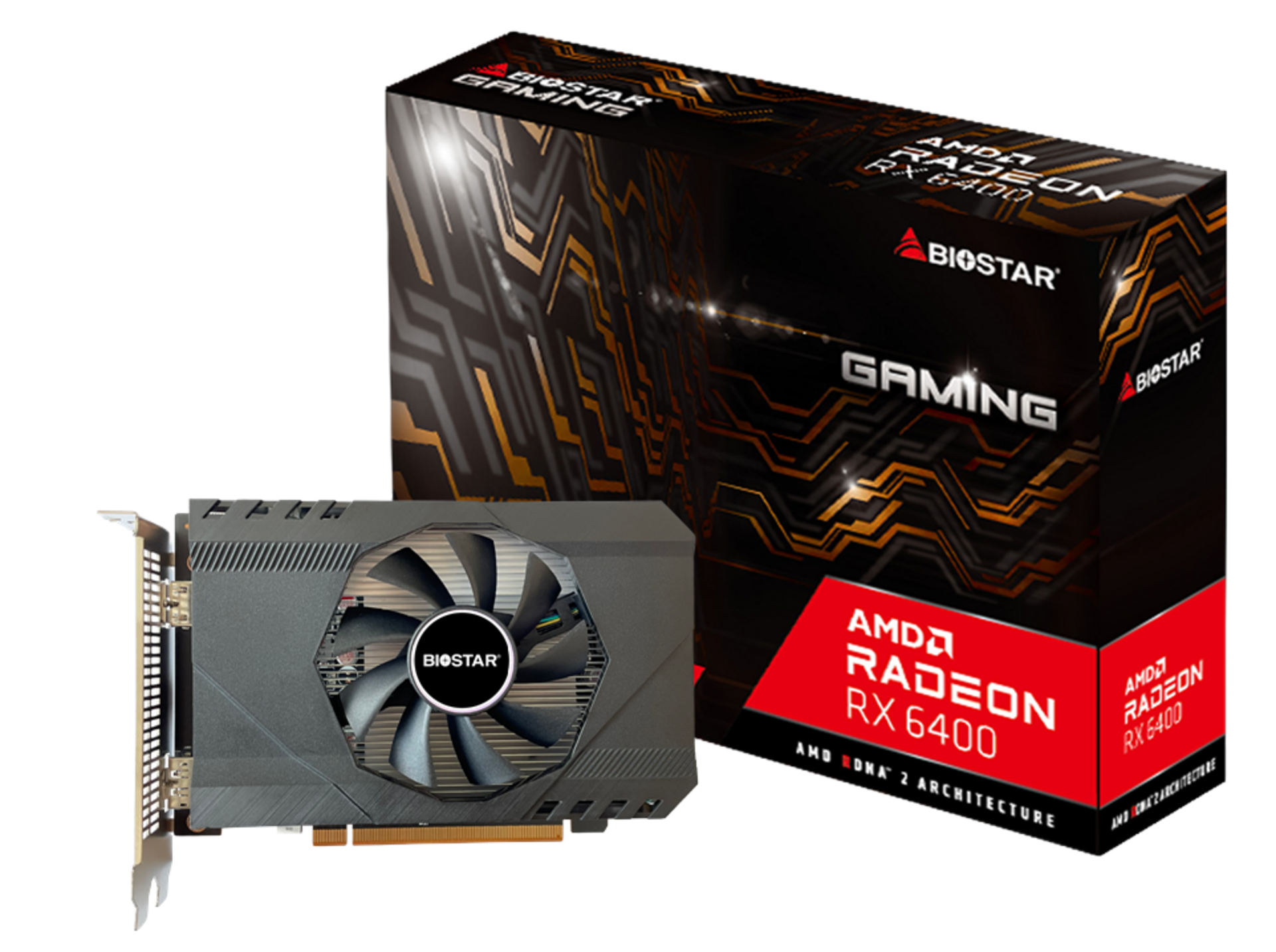 BIOSTAR AMD Radeon RX 6400 Graphics Card BIOSTAR AMD Radeon RX 6400 Graphics Card